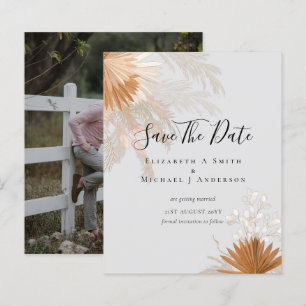BUDGET Foto Rett Dates PAMPAS Grass Terracotta