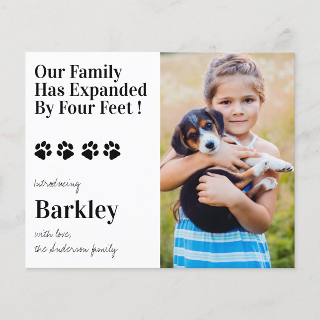 Budget Foto Welpen Hund Neuankündigung (Vorderseite)