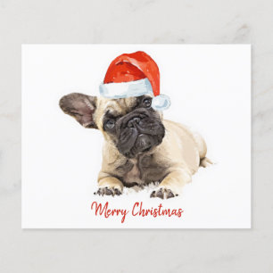 Budget Französischer Bulldog Weihnachts Welpe Hund