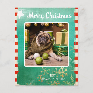 Budget Frohe Weihnachten Haustier Foto