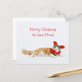 Budget Funny Cat Weihnachten Moving New Address