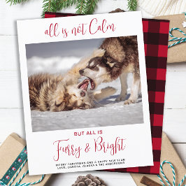Budget Funny Pet Fury & Bright Foto Weihnachten