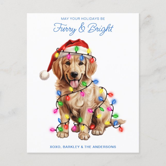 Budget Golden Retriever Dog Furry & Bright Card (Vorderseite)