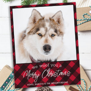 Budget Haustier Foto Hund Rot Kariert Frohe Weihna
