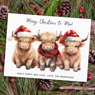 Budget Highland Cow Calf Frohe Weihnachtsfeiertag