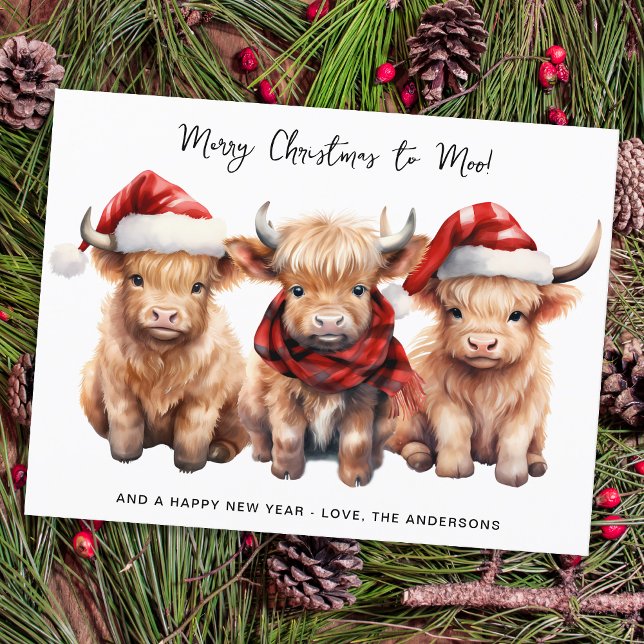 Budget Highland Cow Calf Frohe Weihnachtsfeiertag (Von Creator hochgeladen)