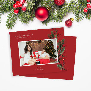 Budget Holly Berry H Foto Holiday or Christmas R