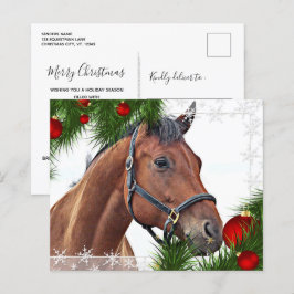 Budget HorChristmas Equine Niedlich Pony Holiday