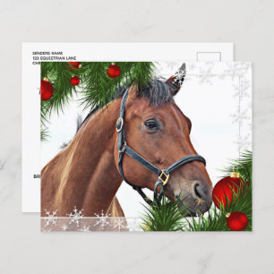 Budget HorChristmas Equine Niedlich Pony Holiday