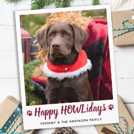 Budget Hund Lover Pet Foto Weihnachtskarte