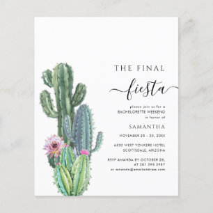 Budget-Junggesellinnen-Wochenende-Party mit Reisep