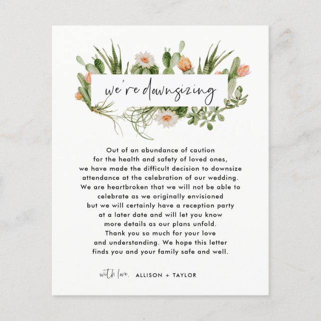 Budget-Kaktus Kleinere Hochzeitaktualisierungen (Vorderseite)