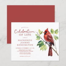 Budget Kardinal Bird Celebration of Life Memorial