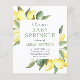 Budget Lemon Modern Baby Sprinkle Einladung Flyer