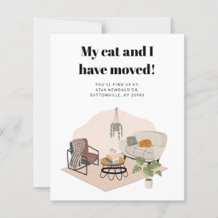 Budget Meine Katze und ich übertragen Änderung der