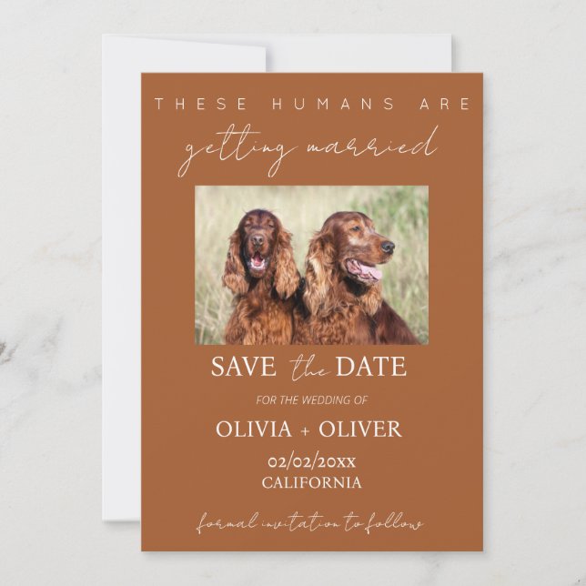 Budget, minimalistisch, Terracotta Custom dog Foto Save The Date (Vorderseite)
