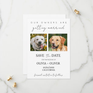 Budget, minimalistisches, niedliches Foto für Hund Save The Date