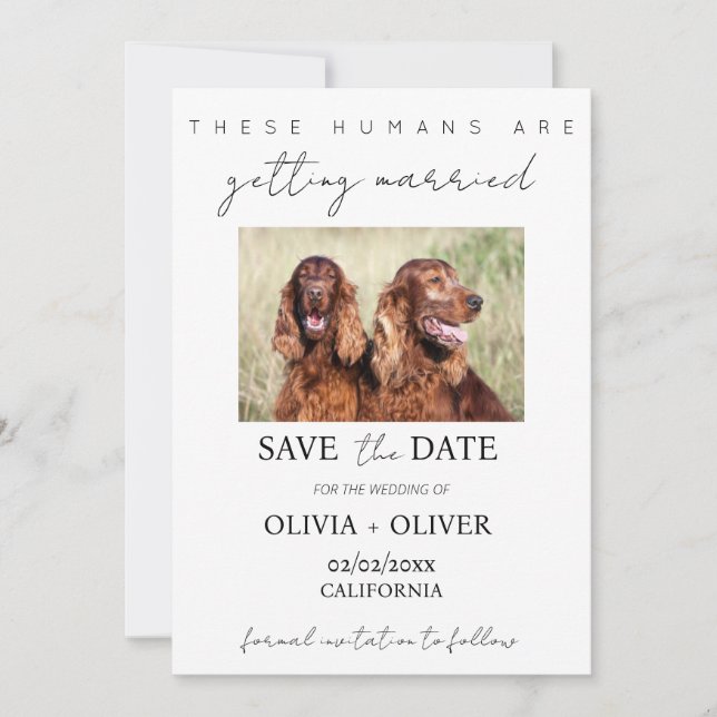Budget, minimalistisches, niedliches Foto für Hund Save The Date (Vorderseite)