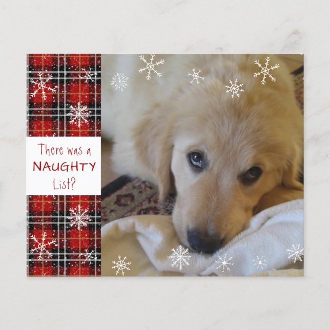 Budget Naughty oder Nice Foto Funny Holiday Card (Vorderseite)