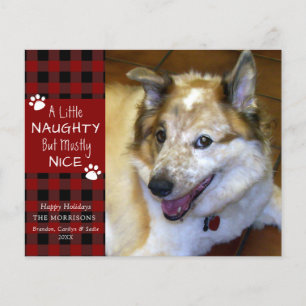 Budget Naughty or Nice Hunde-Foto-Grußkarte