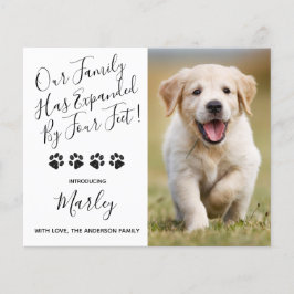 Budget Neues Haustier erweitert durch vier Füße We