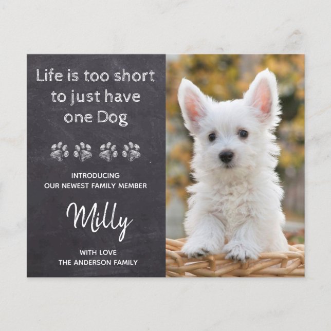 Budget New Pet New Puppy Ankündigung (Vorderseite)