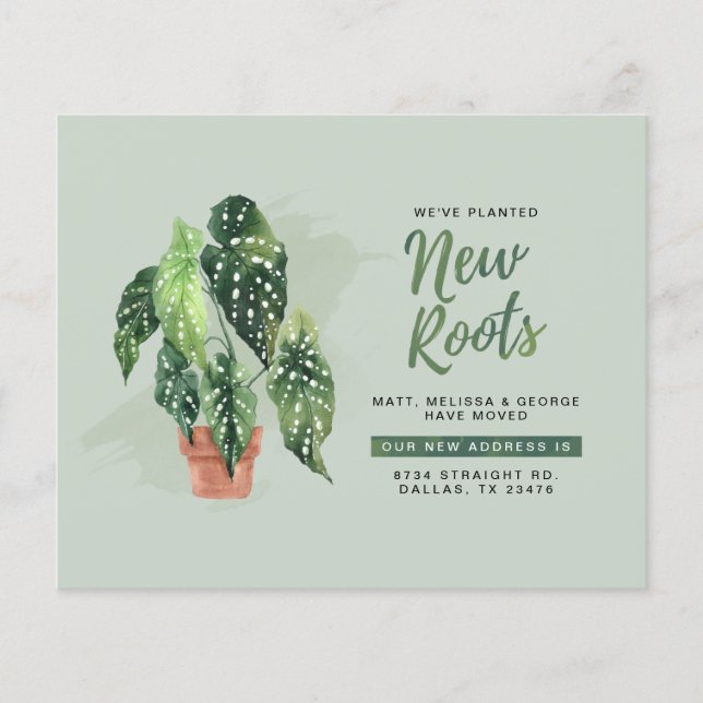 Budget New Roots New Address Mount Ankündigung (Vorderseite)