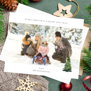 Budget Panorama Chic H Foto - Weihnachtsbaum