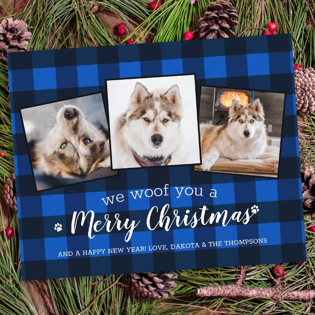 Budget Pet Foto Collage Dog Holiday Blue Kariert (Von Creator hochgeladen)