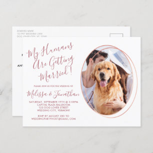 Budget Rose Gold Custom Pet Foto Hochzeit Postkarte