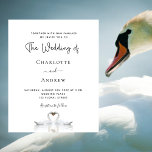 Budget Schwan Ehepaar weiße Hochzeit Einladung<br><div class="desc">Eine schlichte und elegante Hochzeitseinladung mit Liebe als Thema. Zwei wunderschöne Schwäne,  die ihre Köpfe zusammenbiegen und eine Herzform bilden. Weißer Hintergrund. Personalisieren und fügen Sie Ihre Namen und Hochzeitsdetails.</div>