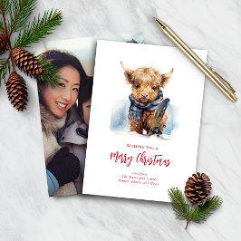 Budget Snowboarden Hochland Kuh Foto Card/Vert