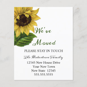 Budget Sonnenblume Wir Ziehen Um Neue Adresse