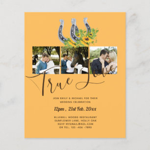 BUDGET Sonnenblumen Pferdeschuhe FOTO Collage WEDD Flyer