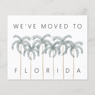 Budget Umzug nach Florida Palm Trees Neue Adresska