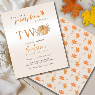 Budget Unser kleiner Pumpkin Fall 2. Geburtstag