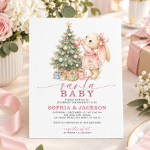 Budget-Weihnachtsmann-Baby-Bunny-Baby-Shower-Einla