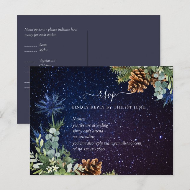 BUDGET Winter Eukalyptus Pine Cones Wedding Postkarte (Vorne/Hinten)