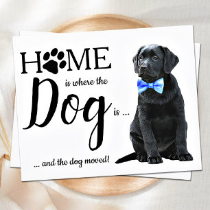 Budget Wir haben die Ankündigung, Niedliche Hunde