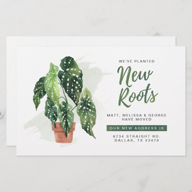 Budget Wir haben die Roots Moving Ankündigung vers (Vorne/Hinten)