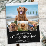 Budget Wir woof Sie frohe Weihnachts Pet Foto Card<br><div class="desc">Wir würden dir frohe Weihnachten wünschen! Versenden Sie niedliche und lustige Urlaubstage mit dieser niedlichen personalisierten Haustier Foto Urlaubskarte. Frohe Weihnachtswünsche vom Hund mit niedlichen Pfotendrucken in einem lustigen, modernen Foto Collage Design. Fügen Sie dem Hund die Fotos oder Fotos Ihrer Familie hinzu und personalisieren Sie mit Familienname, Nachricht und...</div>