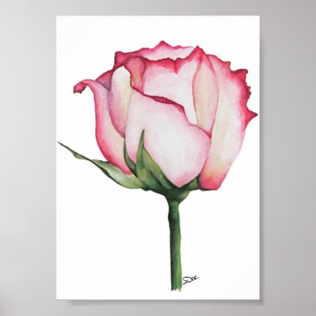 Budgetierung Rose Premium 12x18 Leinwand Gloss Pos Poster (Vorne)