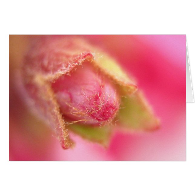 Budgetierungskarte (Vorderseite (Horizontal))