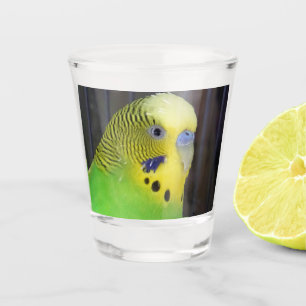 Budgie 003 schnapsglas