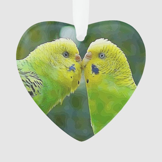 Budgie_2015_0604 Ornament (Vorderseite)