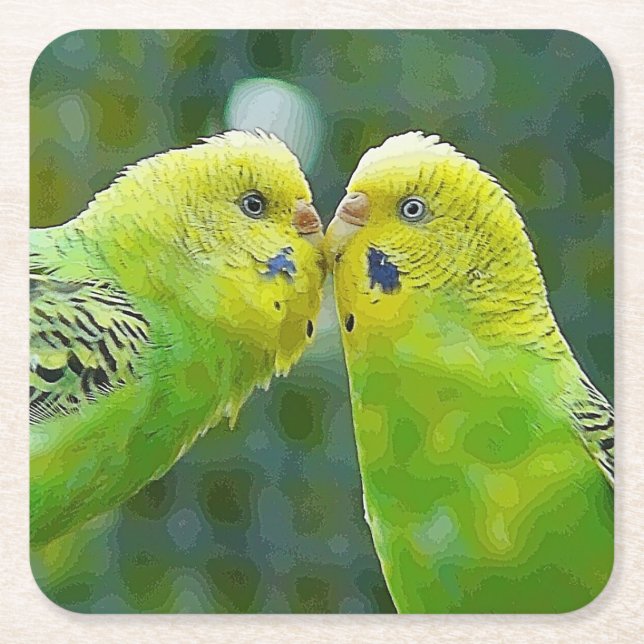 Budgie_2015_0604 Rechteckiger Pappuntersetzer (Vorderseite)