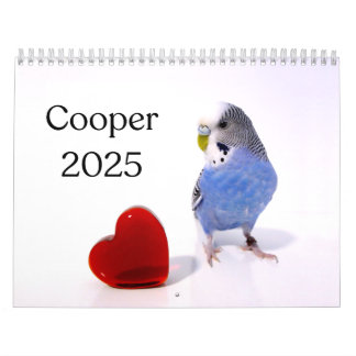 Budgie 2025 kalender