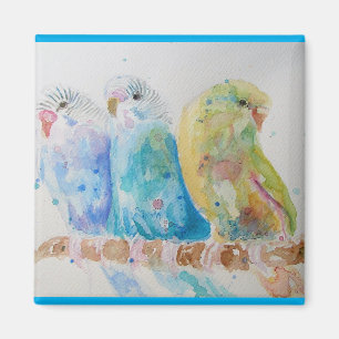 Budgie Aqua Aquamarin Magnet