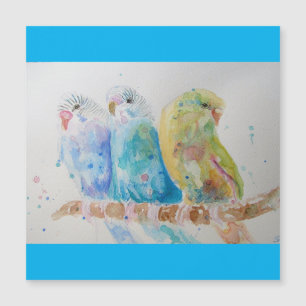 Budgie Aqua Aquamarin Magnetkarte