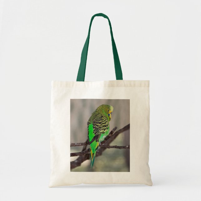Budgie Bag Tragetasche (Vorne)